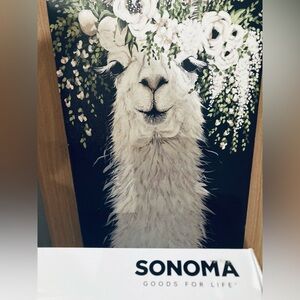 Sonoma Black Ankle Boots with Side Zipper